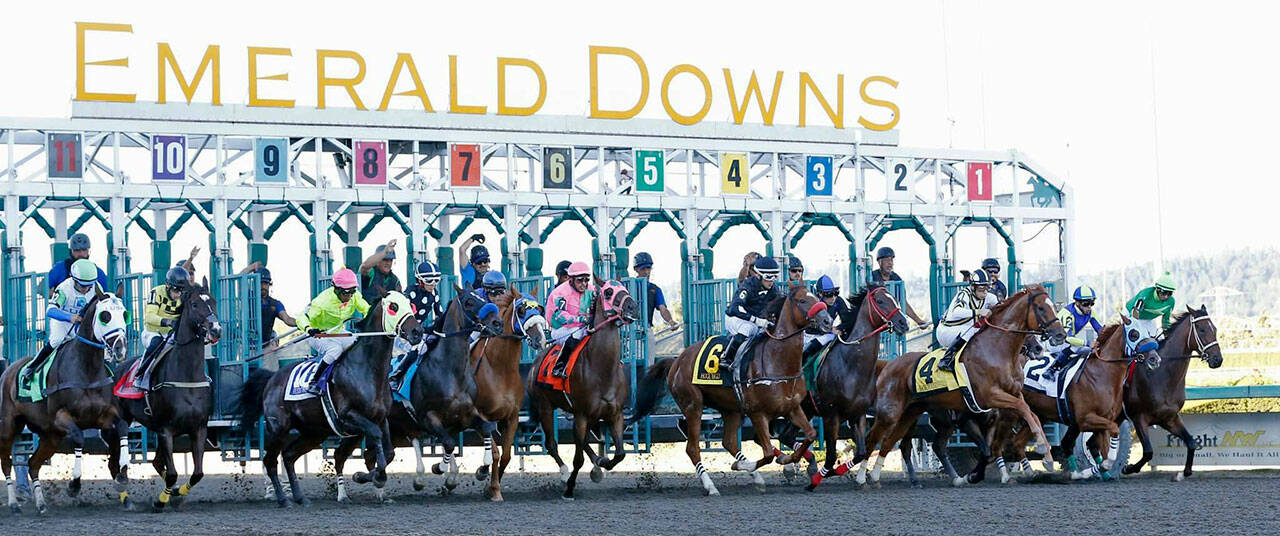 COURTESY PHOTO, Emerald Downs
Emerald Downs wrapped up its 27th season of racing on Sept. 18 in Auburn.