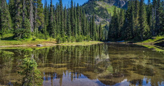 The newly-renamed Kiya Lake, located on Mt. Rainier’s Wonderland Trail. Photo courtesy of Rich Border
