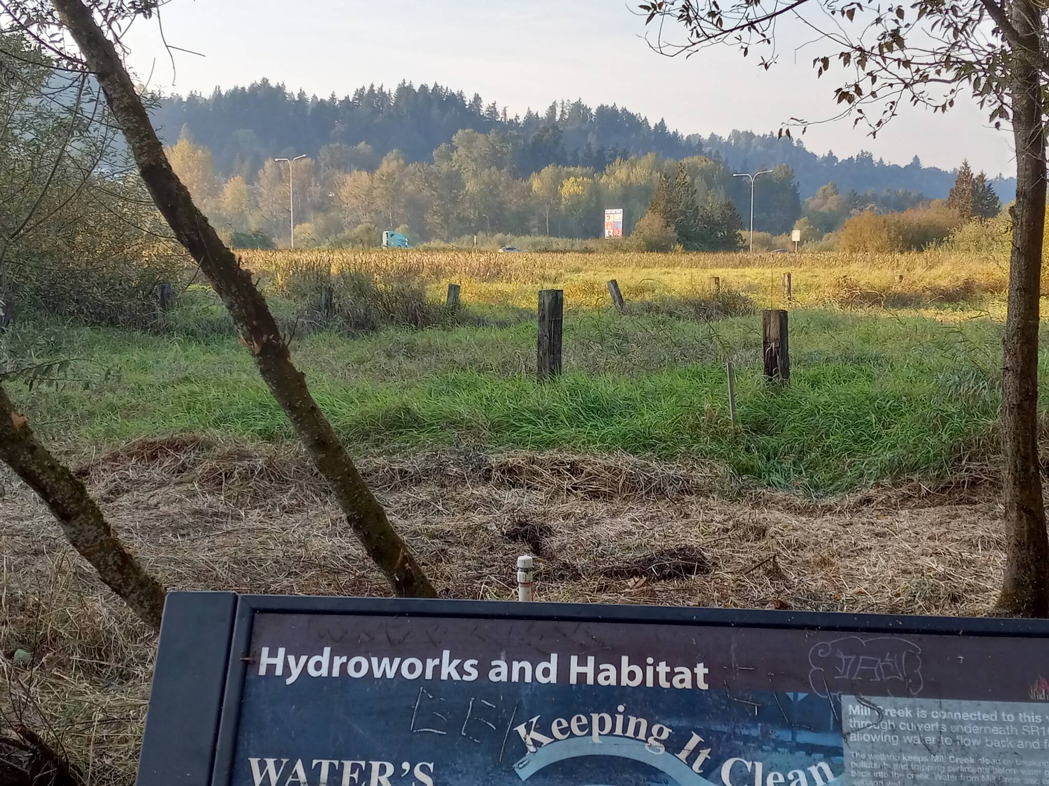 A portion of the planned second phase of the Auburn Environmental Park, as seen from the boardwalk constructed for Phase 1. Robert Whale / Sound Publishing