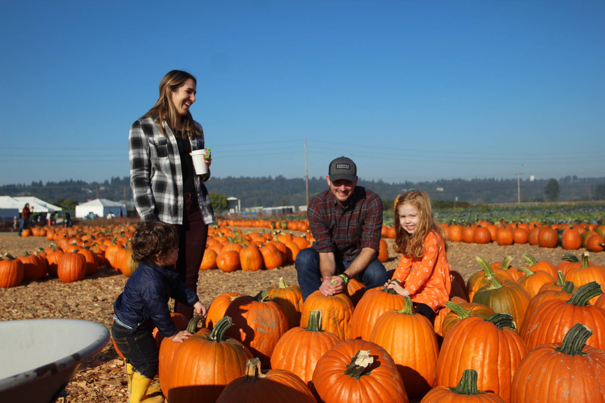 Kristine and Ken Forester search for pumpkins with their kids Elise, 3, and Cameron, 18 months.