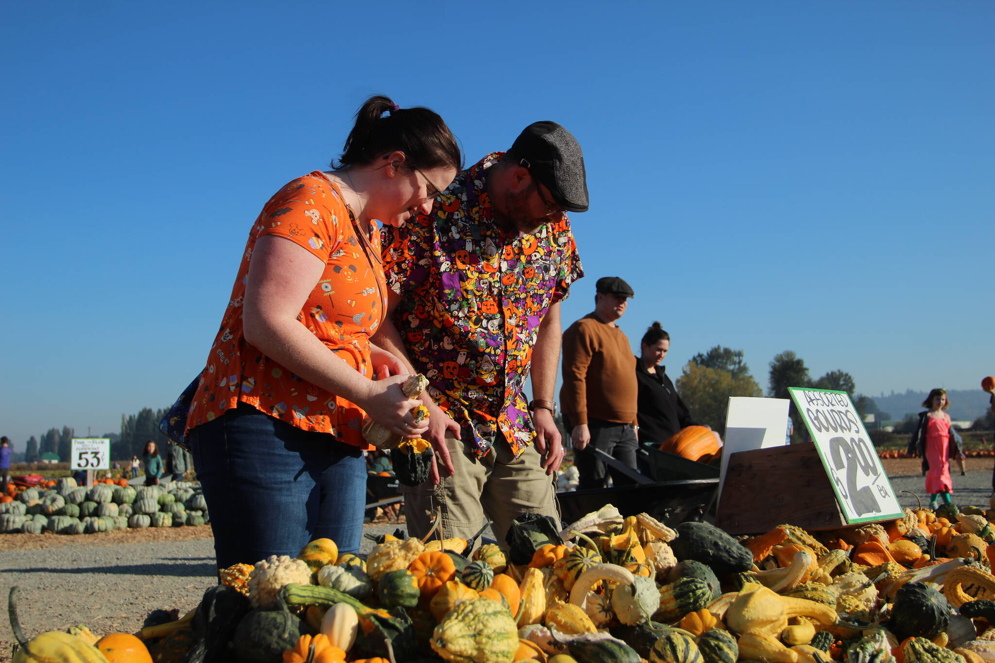 Cassandra and Scott Atkinson of Kent survey gourds on Oct. 16. They visit the Carpinitos’ pumpkin patch every year. Olivia Sullivan/Sound Publishing
