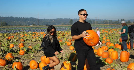 Jasmin Ordonio of Arlington and Ryan Johnson of Seattle visit the pumpkin patch on Oct. 16. Olivia Sullivan/Sound Publishing