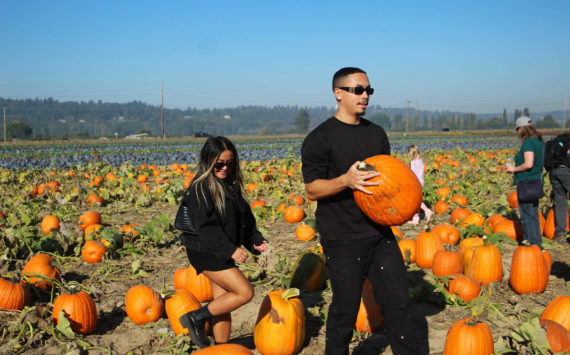 Jasmin Ordonio of Arlington and Ryan Johnson of Seattle visit the pumpkin patch on Oct. 16. Olivia Sullivan/Sound Publishing