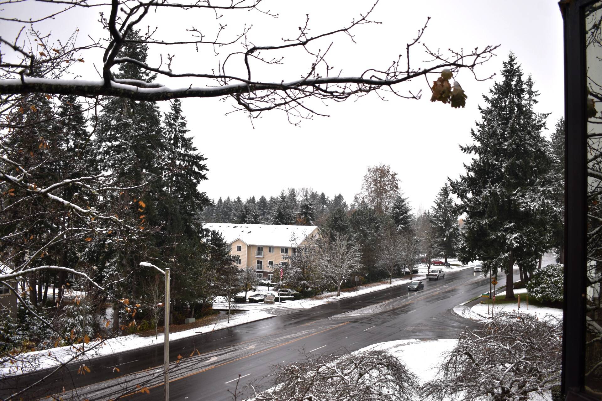 The word of the day is “slush” from the Federal Way Mirror office in Federal Way, overlooking South 336th Street on Nov. 29, 2022. Photo by Alex Bruell/the Mirror