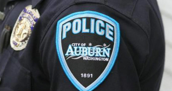 Gun left behind in hit and run | Auburn Police Blotter