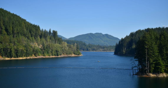 Photo by Alex Bruell
Behind the Howard Hanson Dam lies around 100 miles of prime fish-spawning habitat.