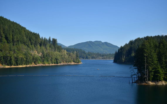 Photo by Alex Bruell
Behind the Howard Hanson Dam lies around 100 miles of prime fish-spawning habitat.