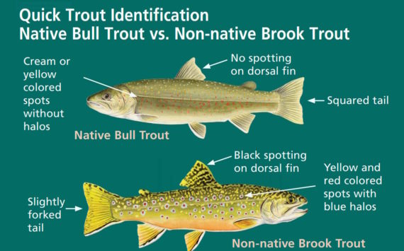 This chart is from the National Park Service.