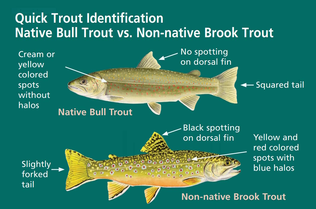 This chart is from the National Park Service.