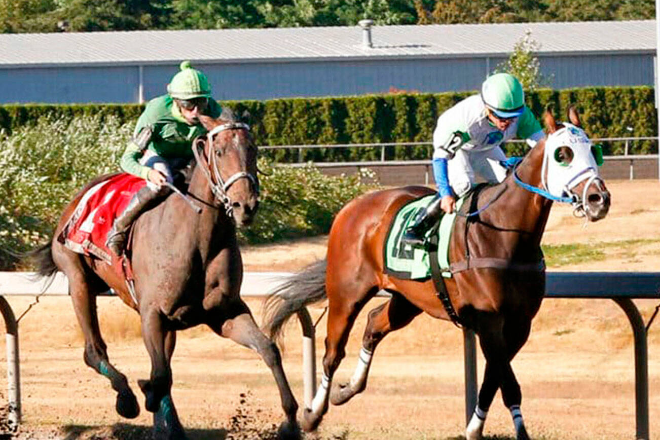 Slew’s Tiz Whiz (left) collars Papa’s Golden Boy in the 2022 Longacres Mile. COURTESY PHOTO, Emerald Downs