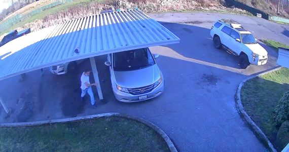 Auburn Police are looking for this man, whom they believe to be the driver of a car that nearly collided with a train in an attempt to escape from the scene the armed robbery of Coastal Farm and Supply. Photo courtesy of the Auburn Police Department