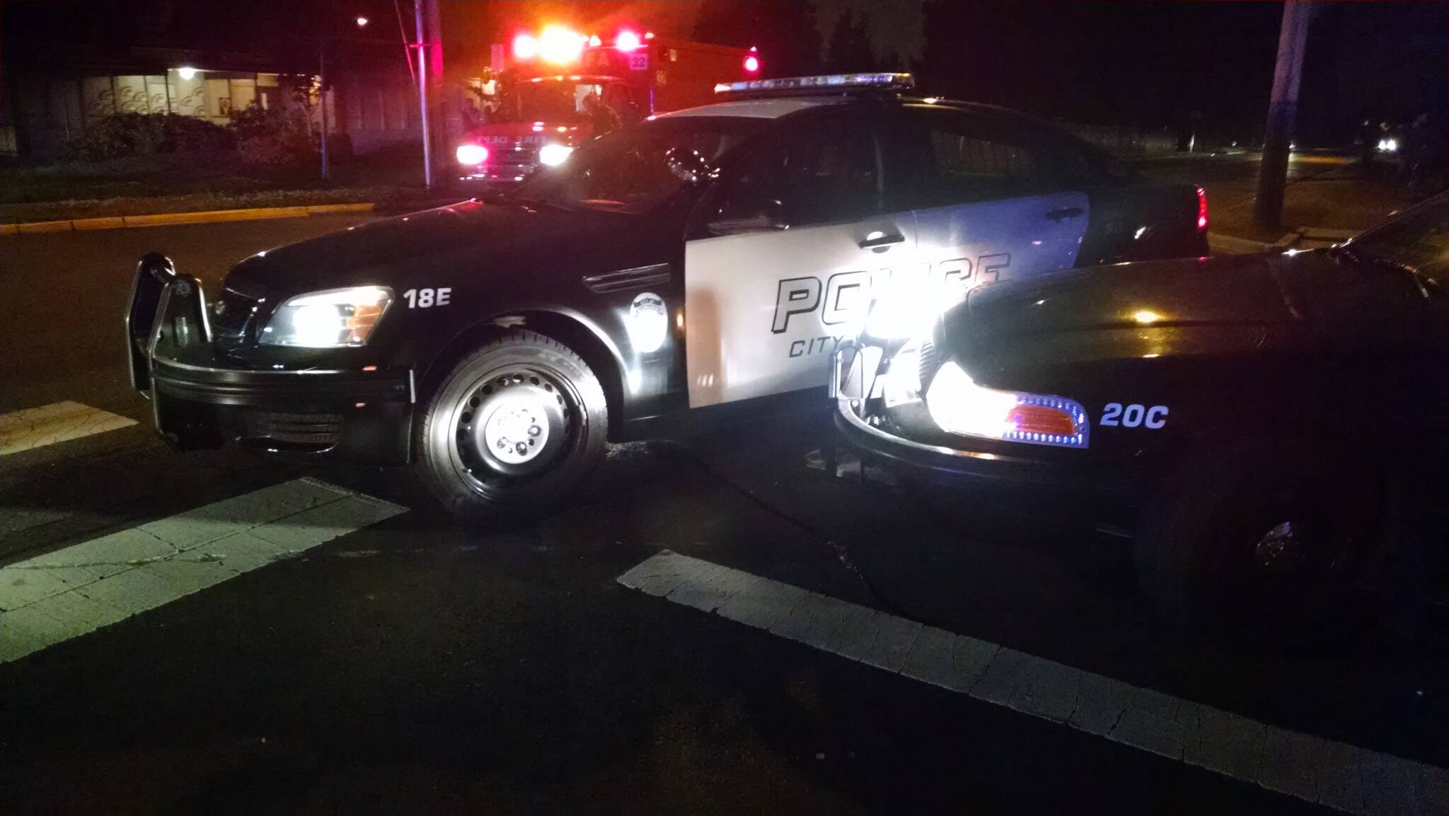 Nelson received a one-day suspension in 2015 for violating safety procedures and colliding with another officer's vehicle while in pursuit of a suspect. (Auburn Public Records)