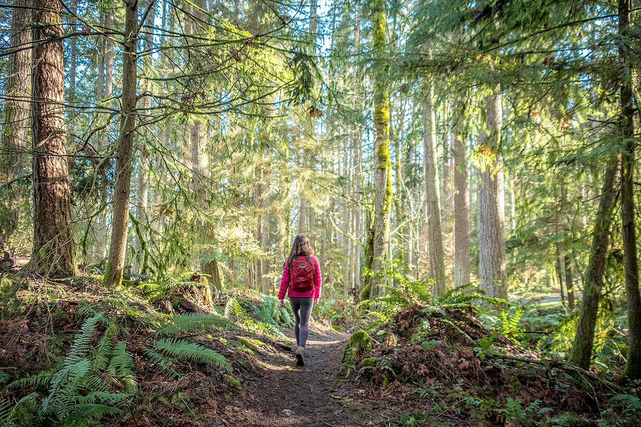 Photo courtesy of King County Parks.