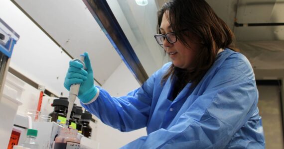 Photo by Alex Bruell / The Mirror
Forensic scientist Darlene Valencia tests a blood sample for tetrahydrocannabinol (THC), the main psychoactive ingredient in cannabis, at the new Washington State Patrol toxicology lab in Federal Way. While scientists like Valencia are not yet working on real evidence at the Federal Way lab, they are testing their equipment to ensure its accuracy.