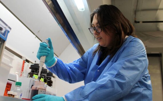 Photo by Alex Bruell / The Mirror
Forensic scientist Darlene Valencia tests a blood sample for tetrahydrocannabinol (THC), the main psychoactive ingredient in cannabis, at the new Washington State Patrol toxicology lab in Federal Way. While scientists like Valencia are not yet working on real evidence at the Federal Way lab, they are testing their equipment to ensure its accuracy.