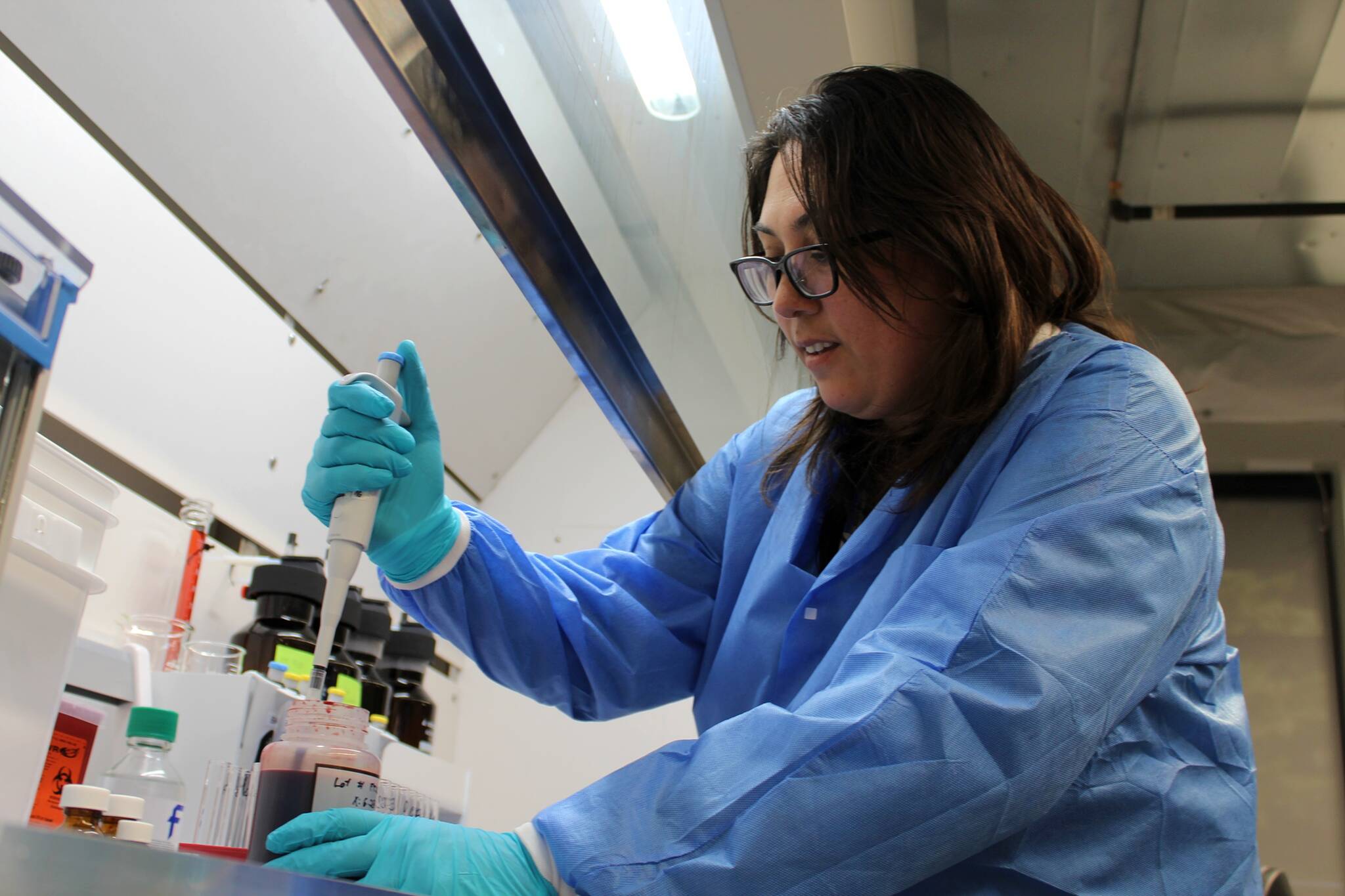 Photo by Alex Bruell / The Mirror
Forensic scientist Darlene Valencia tests a blood sample for tetrahydrocannabinol (THC), the main psychoactive ingredient in cannabis, at the new Washington State Patrol toxicology lab in Federal Way. While scientists like Valencia are not yet working on real evidence at the Federal Way lab, they are testing their equipment to ensure its accuracy.