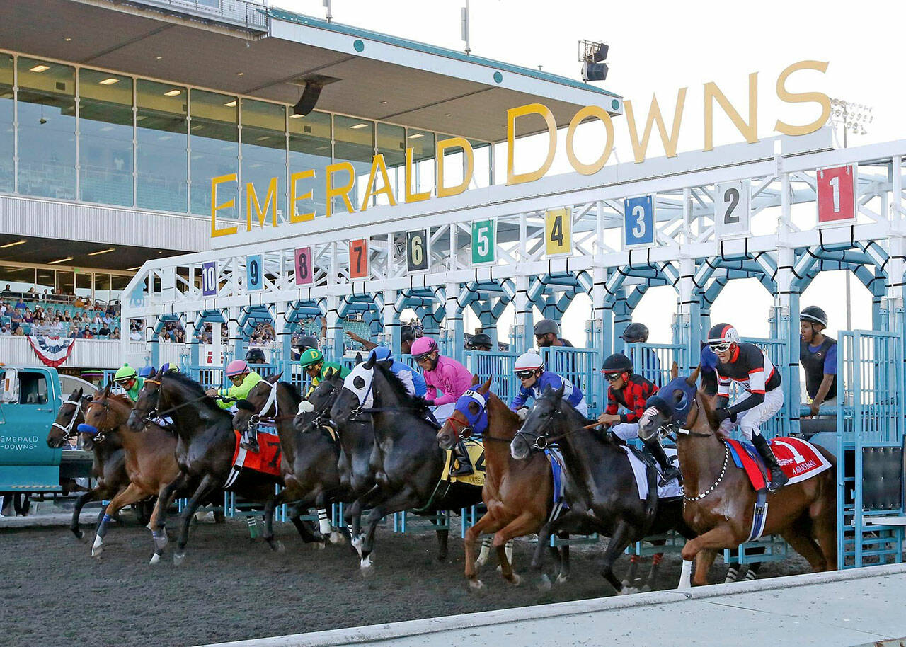 Attendance averaged 3,078 fans per race day in 2023 at Emerald Downs in Auburn. COURTESY PHOTO, Emerald Downs