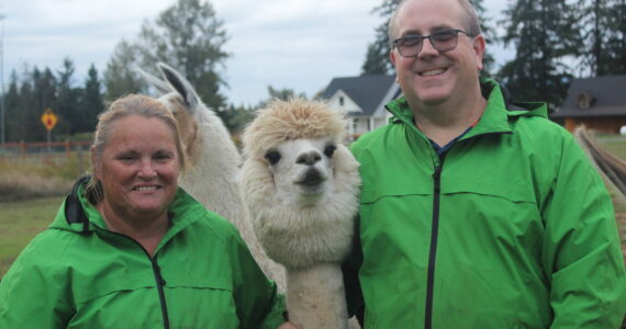 Kandi and Mark Dondrill of Green Apple Alpacas. Photo by Bailey Jo Josie/Sound Publishing.