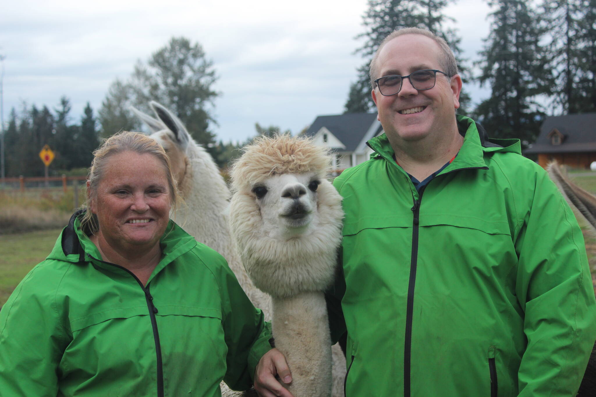 Kandi and Mark Dondrill of Green Apple Alpacas. Photo by Bailey Jo Josie/Sound Publishing.