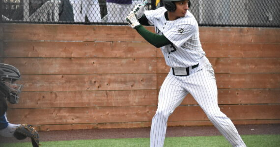 Auburn baseball in action last season. Ben Ray / The Reporter