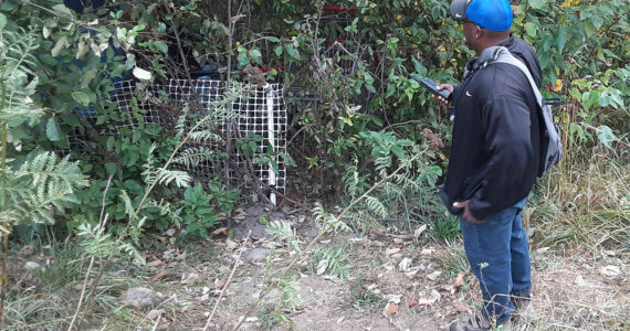 Kent Hay, Auburn’s Outreach Program Administrator, explores homeless encampments in Auburn. File photo