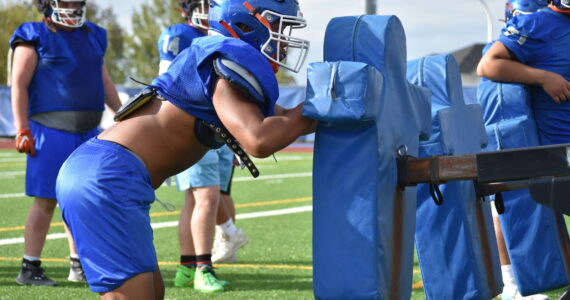 Auburn Mountainview player works the sled. (File photo)