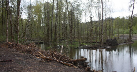 Green River. File photo