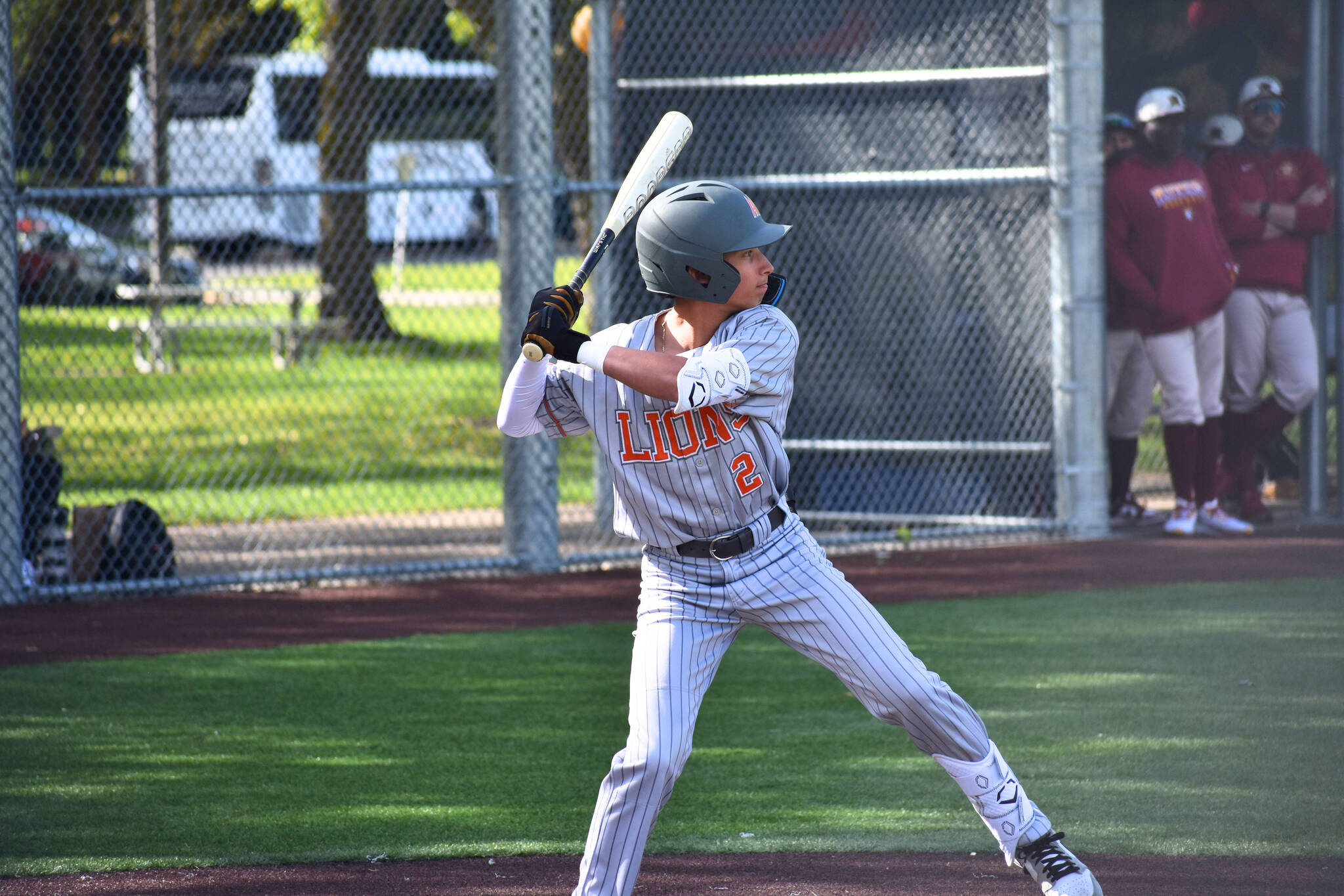 Dominick Weir is at the plate for the Lions. Ben Ray / The Reporter