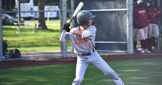Dominick Weir is at the plate for the Lions. Ben Ray / The Reporter