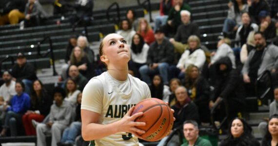 Auburn’s Avery Hansen prepares for take off in the district tournament. Photos by Ben Ray / The Reporter