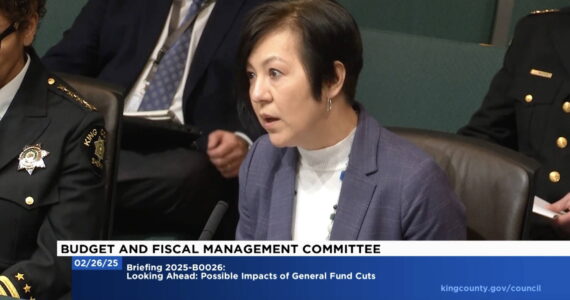 Screenshot
King County Prosecuting Attorney Leesa Manion testifying to the King County Council about budget cut impacts.