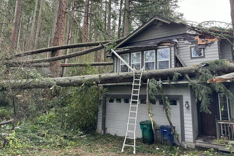A house in Issaquah was damaged by fallen trees during November’s bomb cyclone. (Courtesy of King County Councilmember Sarah Perry’s office)