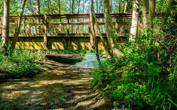 Dash Point State Park. Washington State Parks photo