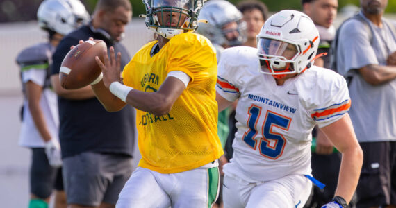 Auburn quarterback chased by Auburn Mountainview defender. Photo provided by Robby Mullikin.