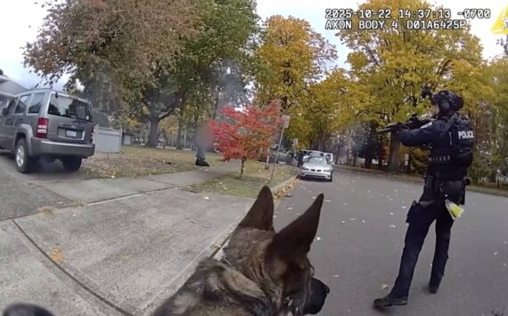Auburn police and Valley SWAT arresting the suspect. SCREENSHOT.