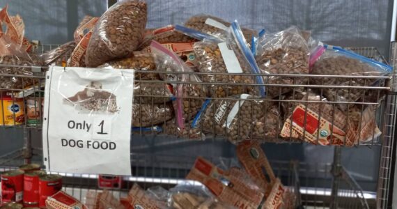 Food available at the Auburn Food Bank on Nov. 24. Photo by Robert Whale/Auburn Reporter