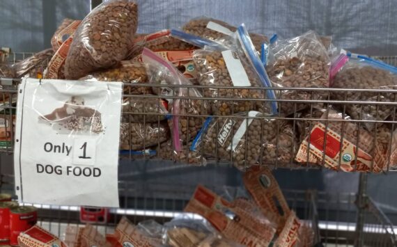 Food available at the Auburn Food Bank on Nov. 24. Photo by Robert Whale/Auburn Reporter