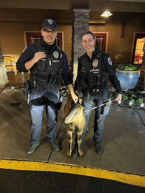Auburn police with Ruby. Courtesy photo.