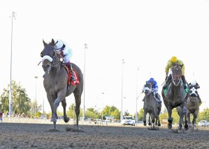 Stryker Phd and jockey Debbie Hoonan pour it on in the $50