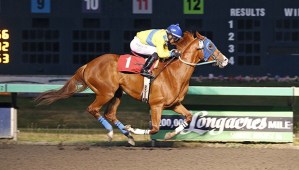 Gross Misconduct and jockey Leslie Mawing are clear to the wire in the $18