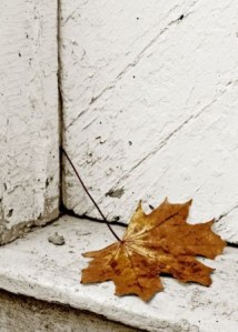 Bellevue photographer Terry DeHart enjoys capturing places or things that people have abandoned. Deserted farms