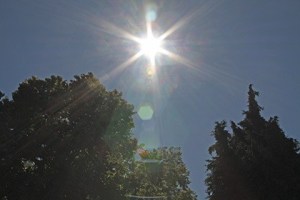 A parked car can reach 125 degrees in just a few minutes on a hot day.