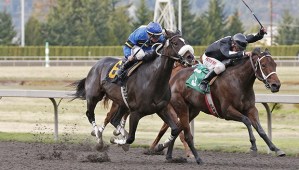 Perhaps a Pie (6) and jockey Julien Couton nail Ethan's Baby for a head victory in Monday's $25