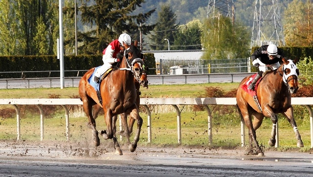 Belt is among six 3-year-olds and up entered in Saturday's $18