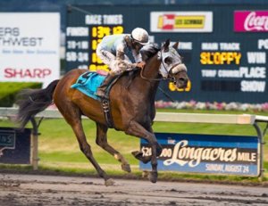 Stryker Phd set a stakes record winning the 2014 Budweiser Handicap