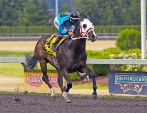 Trackattacker scores an 11-length victory in a stakes record 1:08.31 in the Emerald Express for 2-year-old colts & geldings at Emerald Downs.