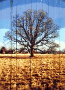 Greg Boudreau's works are on display at the Auburn Golf Course Clubhouse.