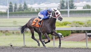 Arrom Bear and jockey Joe Steiner cruise to a 6 1/2-length win in the $18