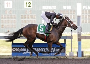 Ethan's Baby prevails by 6 1/4 lengths in the 2014 Angie C Stakes at Emerald Downs.