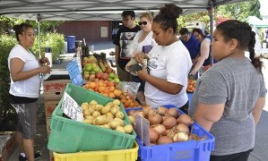 Daisy Carreno sells fruit and vegetables at the Auburn International Farmers Market on opening day last Sunday. The market